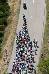 集団(プロトン)